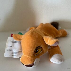 DISNEY KIARA BEANIE WITH TAG STILL ON.